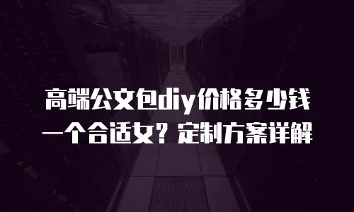 高端公文包diy价格多少钱一个合适女？定制方案详解