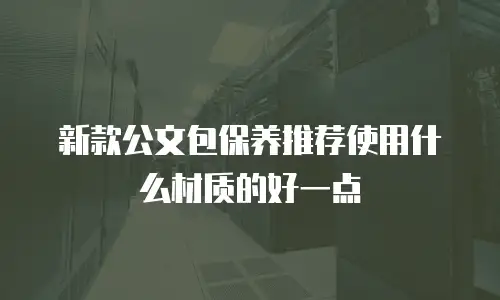 新款公文包保养推荐使用什么材质的好一点