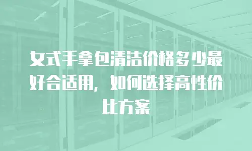 女式手拿包清洁价格多少最好合适用，如何选择高性价比方案