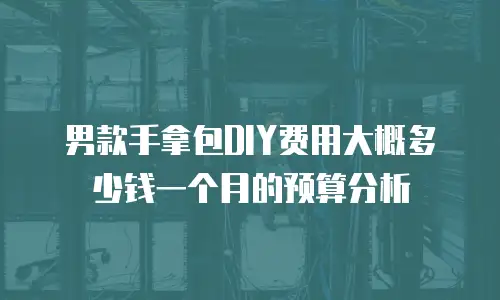 男款手拿包DIY费用大概多少钱一个月的预算分析