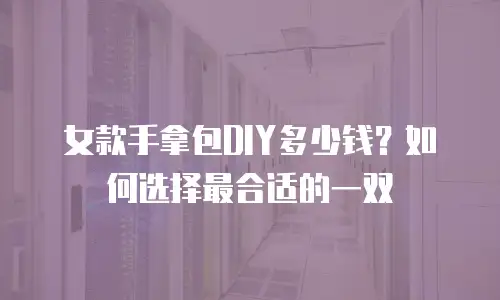 女款手拿包DIY多少钱？如何选择最合适的一双