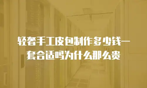 轻奢手工皮包制作多少钱一套合适吗为什么那么贵