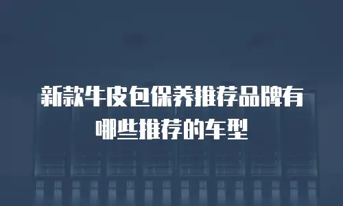 新款牛皮包保养推荐品牌有哪些推荐的车型