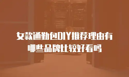 女款通勤包DIY推荐理由有哪些品牌比较好看吗