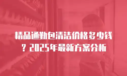 精品通勤包清洁价格多少钱？2025年最新方案分析