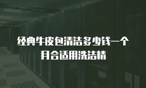 经典牛皮包清洁多少钱一个月合适用洗洁精