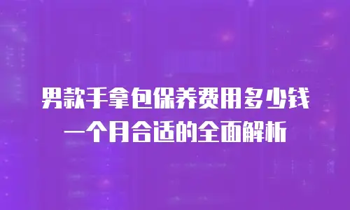 男款手拿包保养费用多少钱一个月合适的全面解析