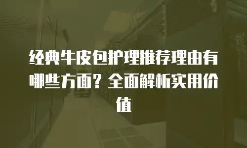 经典牛皮包护理推荐理由有哪些方面？全面解析实用价值