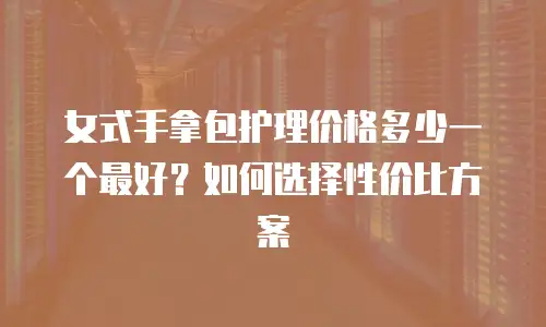 女式手拿包护理价格多少一个最好？如何选择性价比方案