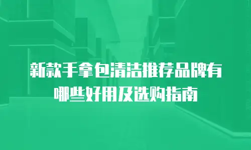 新款手拿包清洁推荐品牌有哪些好用及选购指南
