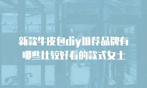 新款牛皮包diy推荐品牌有哪些比较好看的款式女士