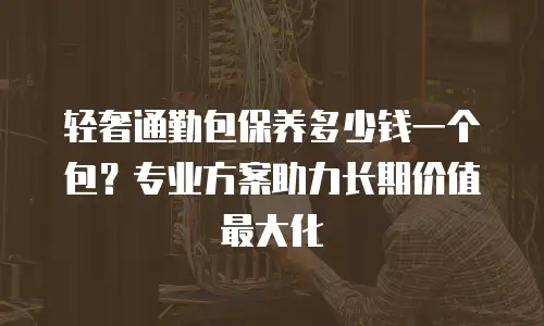 轻奢通勤包保养多少钱一个包？专业方案助力长期价值最大化