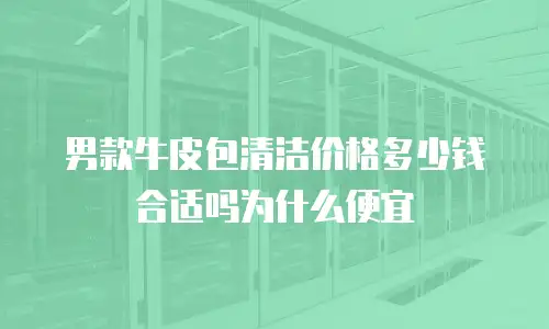 男款牛皮包清洁价格多少钱合适吗为什么便宜