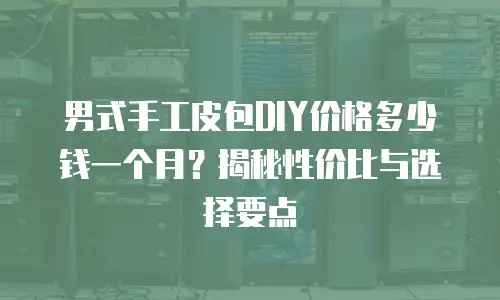 男式手工皮包DIY价格多少钱一个月？揭秘性价比与选择要点