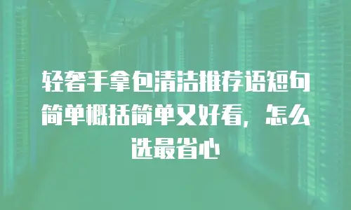 轻奢手拿包清洁推荐语短句简单概括简单又好看，怎么选最省心
