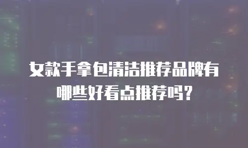 女款手拿包清洁推荐品牌有哪些好看点推荐吗？