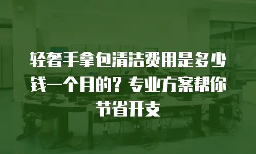 轻奢手拿包清洁费用是多少钱一个月的？专业方案帮你节省开支