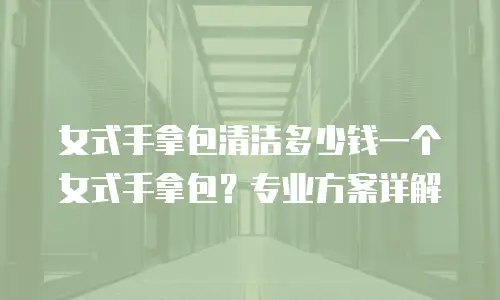 女式手拿包清洁多少钱一个女式手拿包？专业方案详解