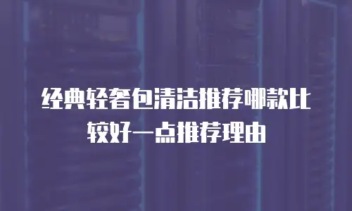 经典轻奢包清洁推荐哪款比较好一点推荐理由