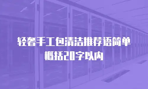 轻奢手工包清洁推荐语简单概括20字以内