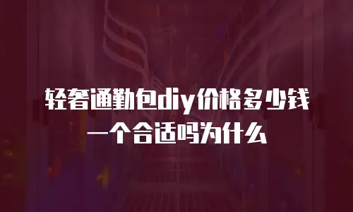 轻奢通勤包diy价格多少钱一个合适吗为什么