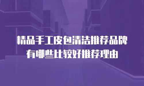 精品手工皮包清洁推荐品牌有哪些比较好推荐理由