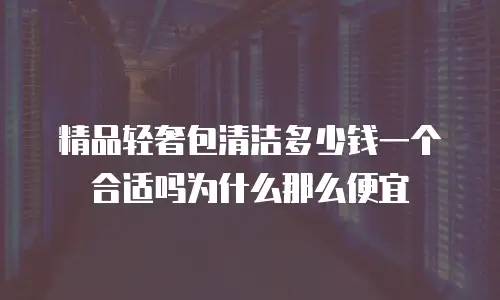 精品轻奢包清洁多少钱一个合适吗为什么那么便宜