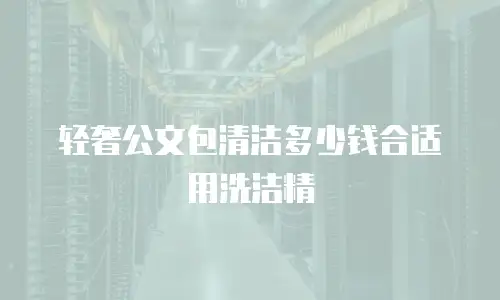 轻奢公文包清洁多少钱合适用洗洁精