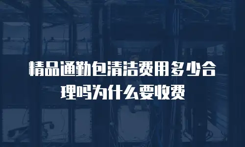 精品通勤包清洁费用多少合理吗为什么要收费