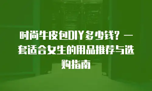 时尚牛皮包DIY多少钱？一套适合女生的用品推荐与选购指南
