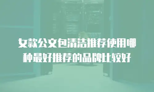 女款公文包清洁推荐使用哪种最好推荐的品牌比较好