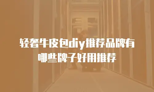 轻奢牛皮包diy推荐品牌有哪些牌子好用推荐