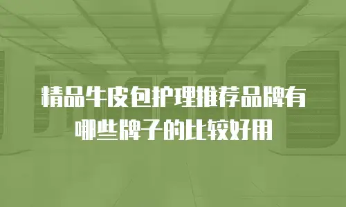 精品牛皮包护理推荐品牌有哪些牌子的比较好用
