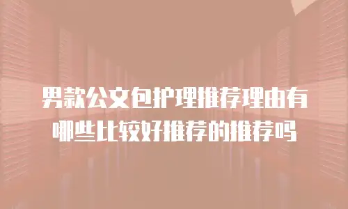 男款公文包护理推荐理由有哪些比较好推荐的推荐吗