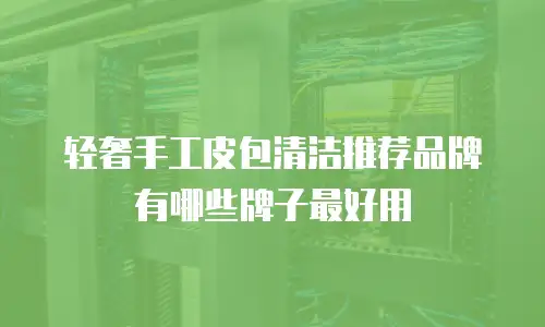 轻奢手工皮包清洁推荐品牌有哪些牌子最好用