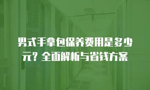 男式手拿包保养费用是多少元？全面解析与省钱方案