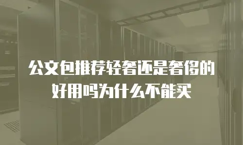 公文包推荐轻奢还是奢侈的好用吗为什么不能买