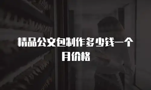 精品公文包制作多少钱一个月价格