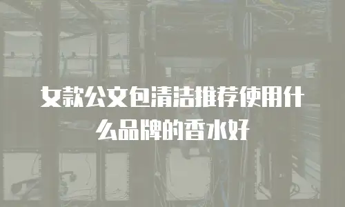 女款公文包清洁推荐使用什么品牌的香水好