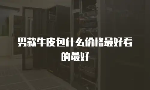 男款牛皮包什么价格最好看的最好