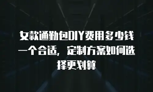 女款通勤包DIY费用多少钱一个合适，定制方案如何选择更划算