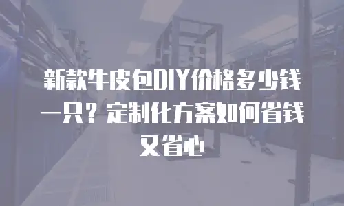 新款牛皮包DIY价格多少钱一只？定制化方案如何省钱又省心