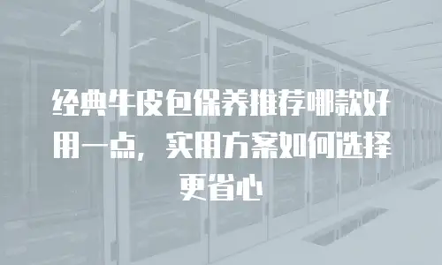 经典牛皮包保养推荐哪款好用一点，实用方案如何选择更省心