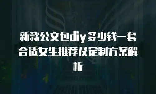 新款公文包diy多少钱一套合适女生推荐及定制方案解析