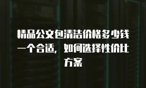 精品公文包清洁价格多少钱一个合适，如何选择性价比方案
