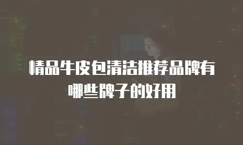 精品牛皮包清洁推荐品牌有哪些牌子的好用