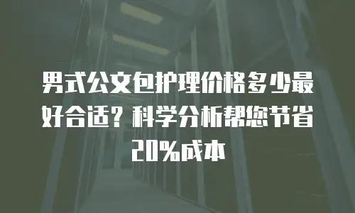 男式公文包护理价格多少最好合适？科学分析帮您节省20%成本