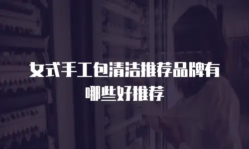 女式手工包清洁推荐品牌有哪些好推荐