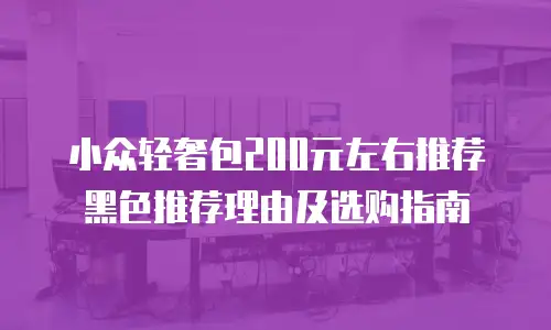 小众轻奢包200元左右推荐黑色推荐理由及选购指南