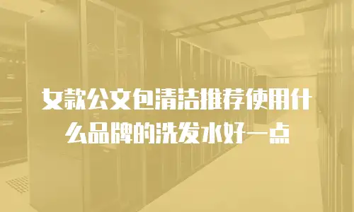 女款公文包清洁推荐使用什么品牌的洗发水好一点